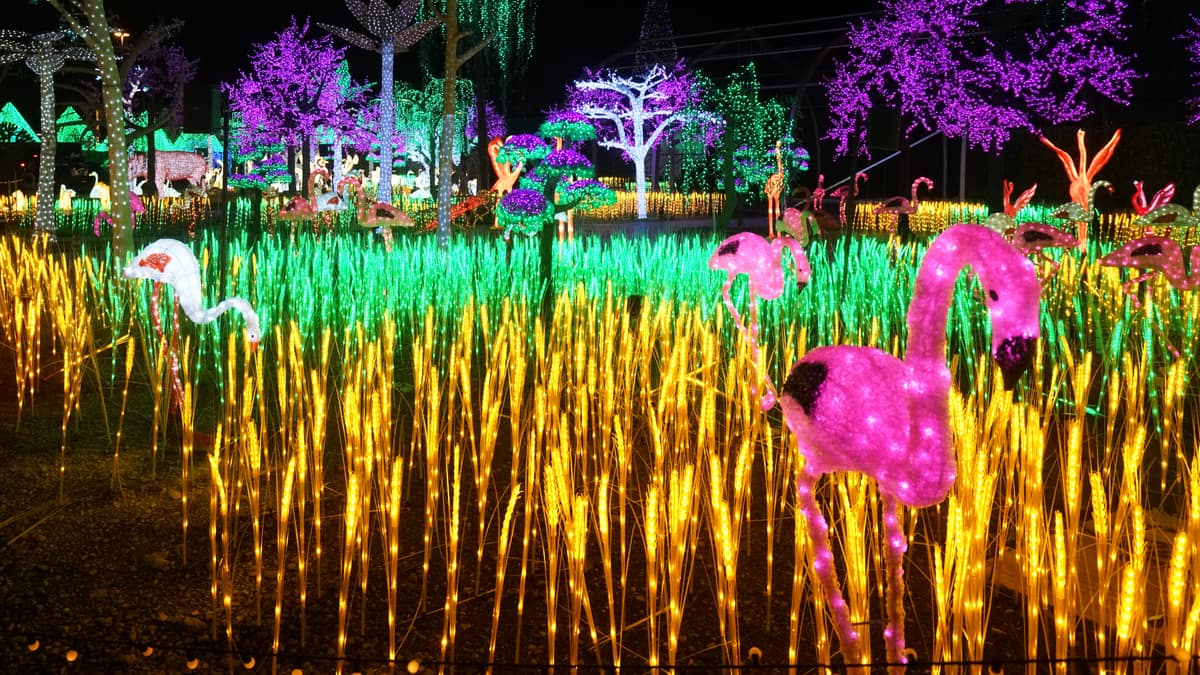 Illumi se poursuit en supplémentaire jusqu'en mars