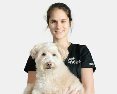 Un cane che indossa gli occhiali vede un'eclissi solare totale. Riflessione degli occhiali dell'intera eclissi solare