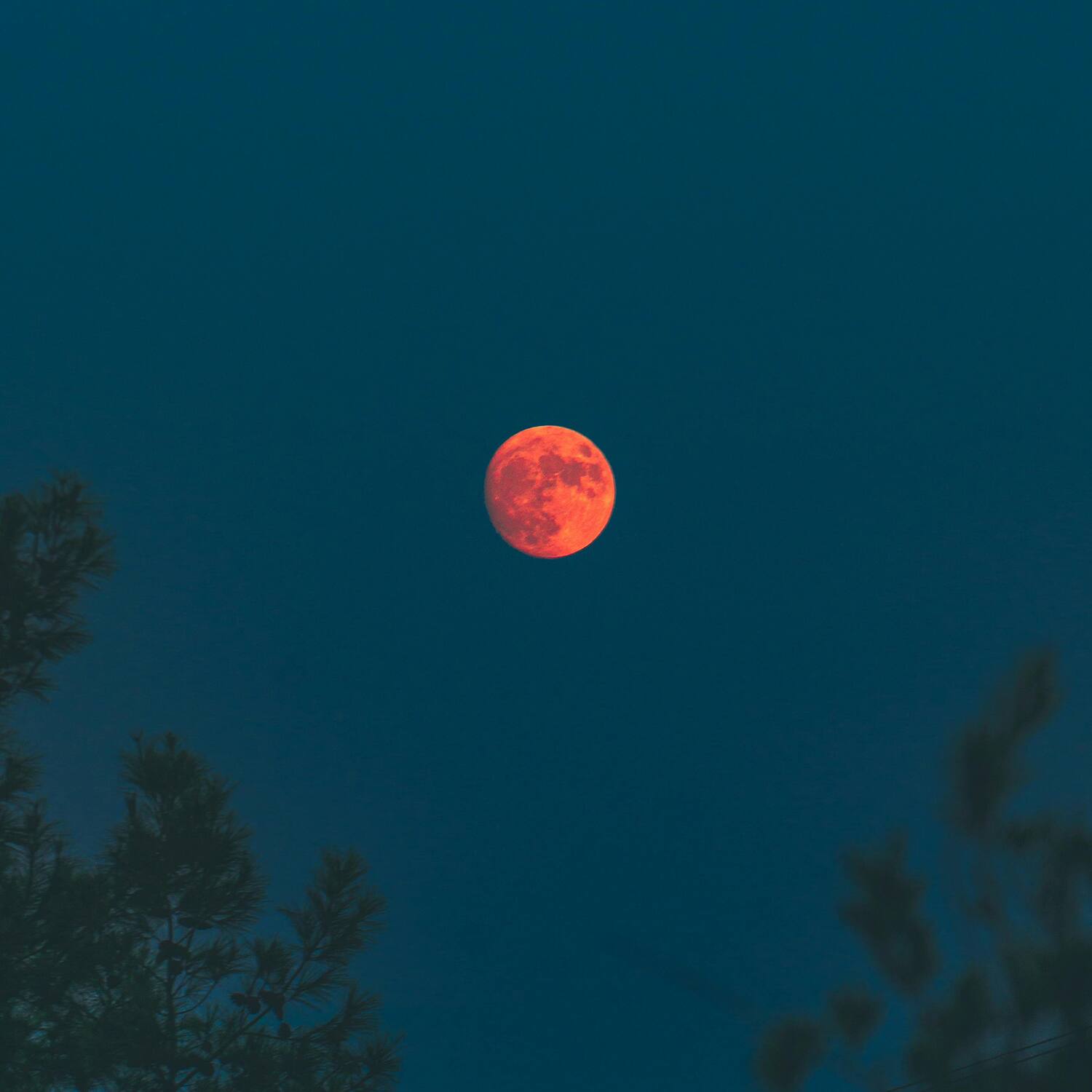 Tout savoir sur la prochaine Lune rouge