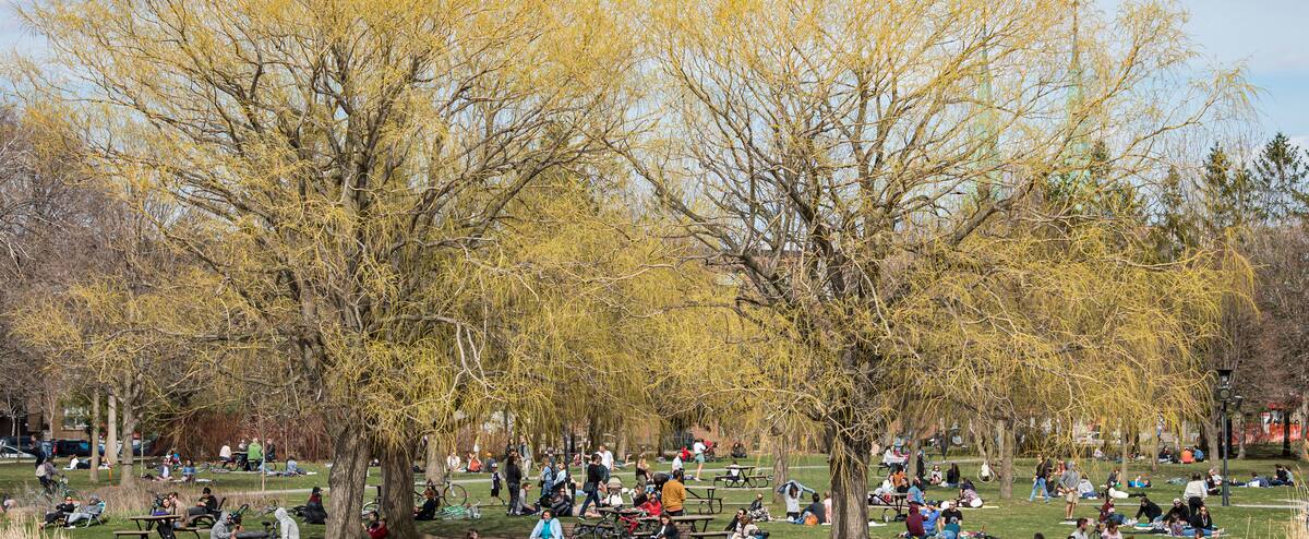 Premier Long Week End Le Journal De Montreal