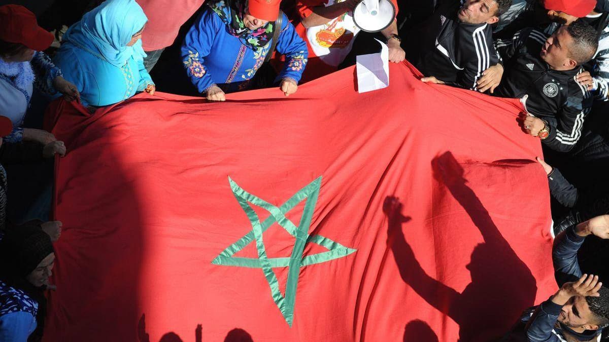 Maroc: appels à poursuivre une femme ayant fait tuer un chaton