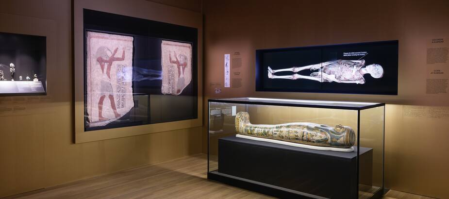 Image principale de l'article Le Musée des beaux-arts de retour le 6 juin