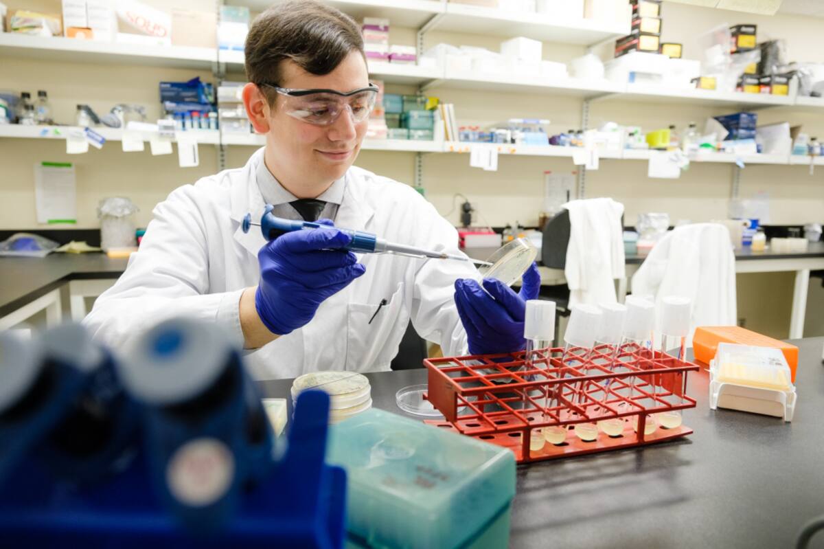 Des bact&eacute;ries vivantes pour tuer les maladies