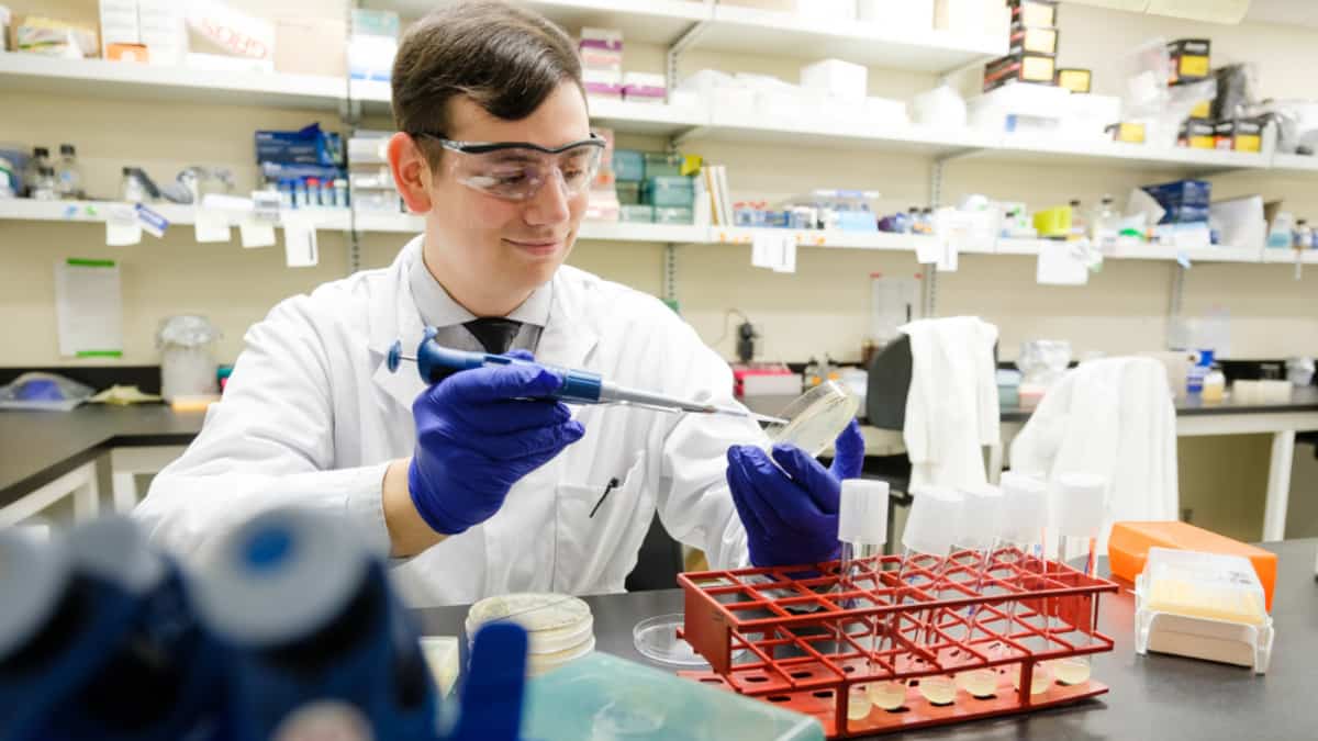 Des bactéries vivantes pour tuer les maladies