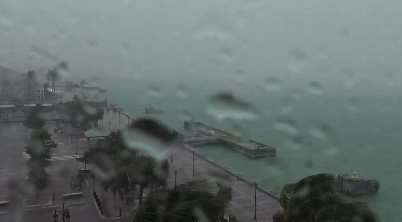La tempête Elsa se renforce en ouragan à son approche de la Floride - Vimarsana News