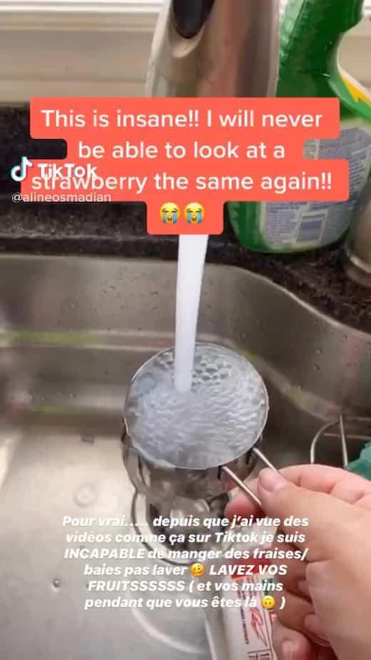 Ce TikTok qui d voile comment faire sortir les insectes Ce TikTok qui d voile comment faire sortir les insectes