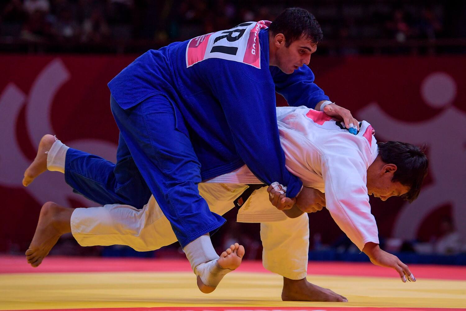 B Javaad Javad Mahjoub: de judoka en Iran à combattant d’arts martiaux mixtes à ...