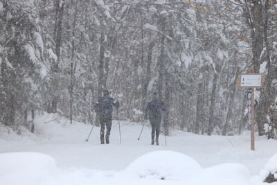 Los visitantes desafiaron la tormenta en el Parc de la Chute-Montmorency, en Quebec, para llegar a los senderos que conducen al puente colgante.