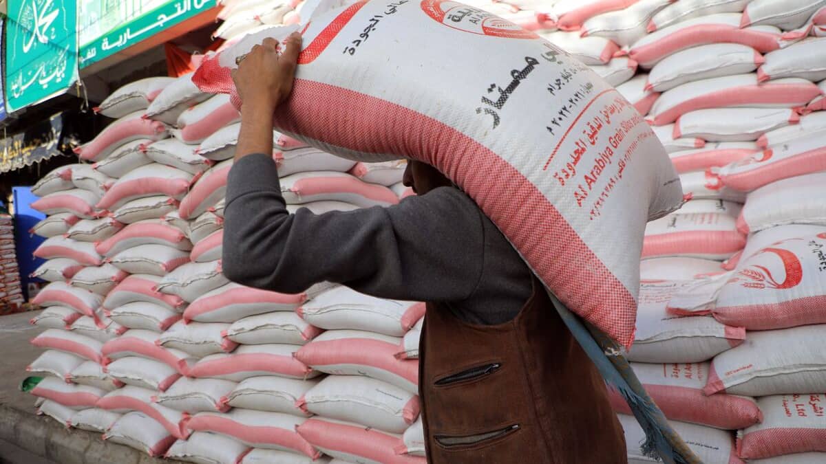 Guerre en Ukraine: les prix alimentaires mondiaux atteignent un niveau jamais enregistré