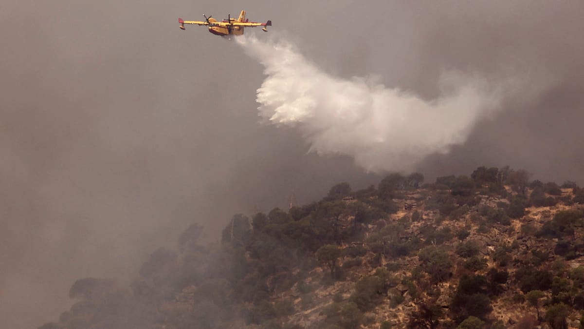 In Madrid, fires invade the holidays of foreign tourists In Madrid, fires invade the holidays of foreign tourists