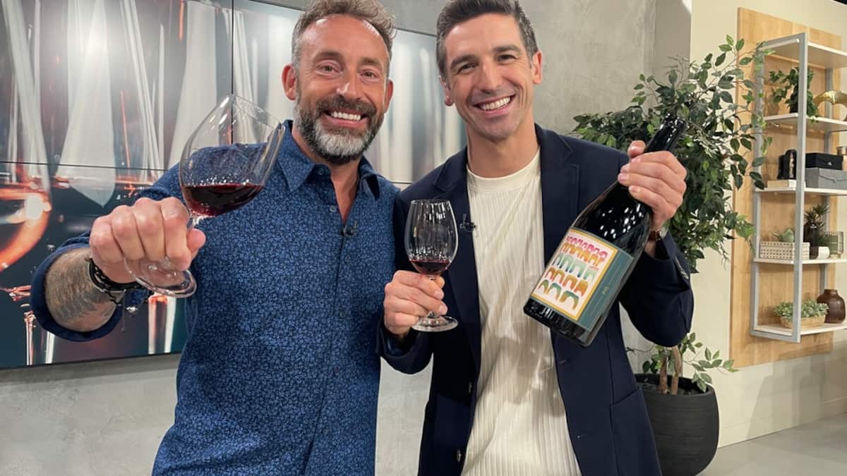 Voyager grâce aux vins en France, en Italie et en Afrique du Sud