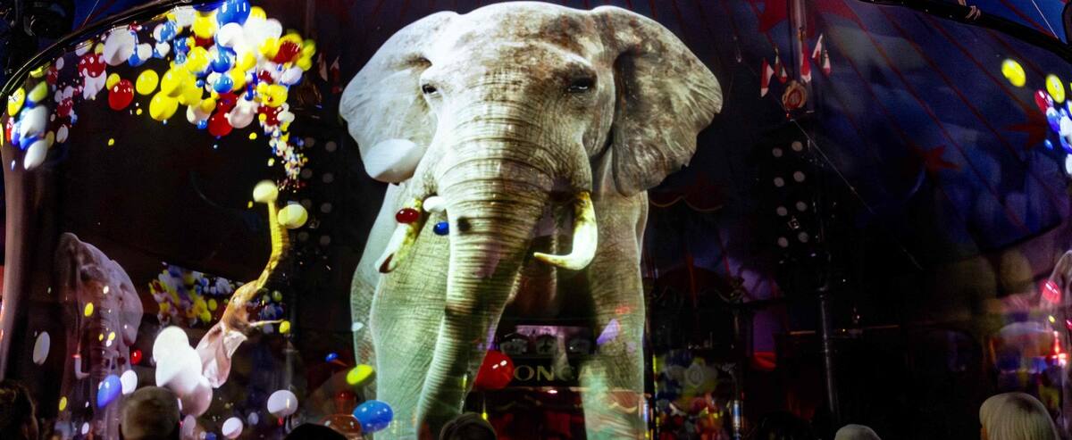 Deutscher Zirkus ersetzt Tiere durch Hologramme Deutscher Zirkus ersetzt Tiere durch Hologramme