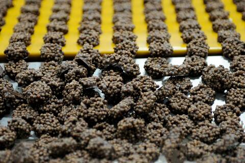 Theobroma a plus que triplé son espace de production en déménageant ses opérations dans une usine du parc industriel de Saint-Augustin-de-Desmaures.