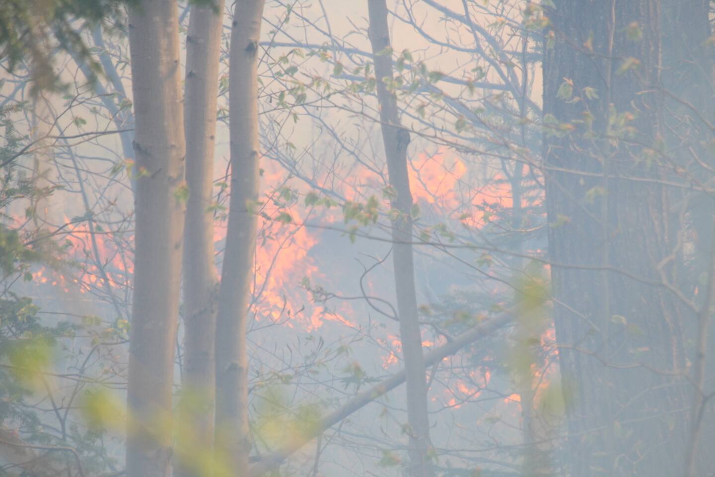 Feux de forêt au Manitoba: une opération d’évacuation pour la Croix-Rouge