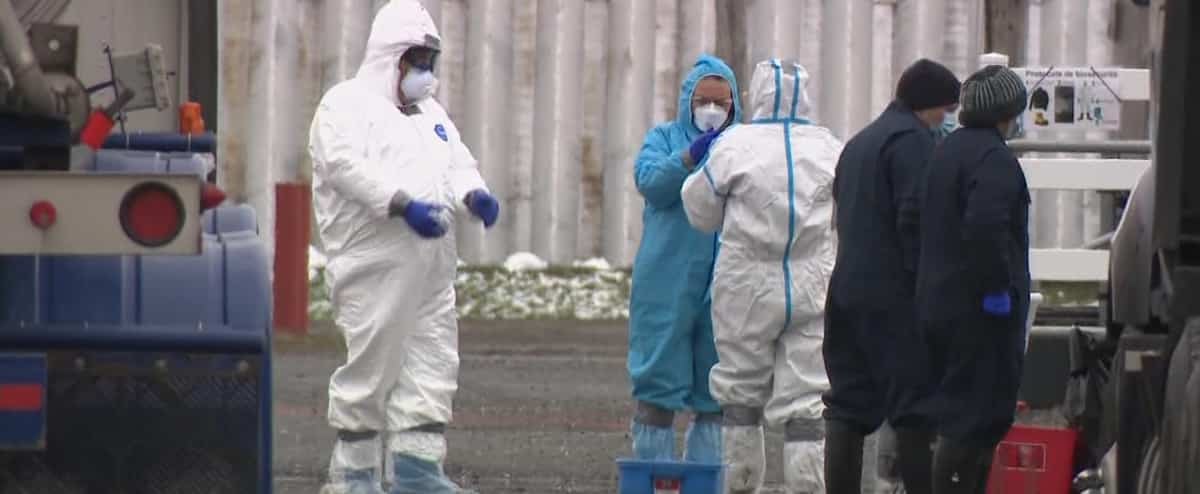 Un quatrième site de Canards du Lac-Brome contaminé