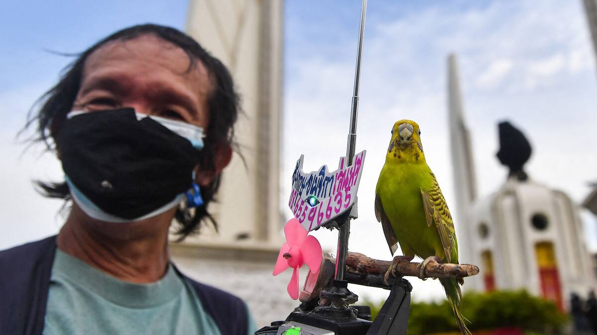 EN DIRECT | Les derniers développements sur le coronavirus