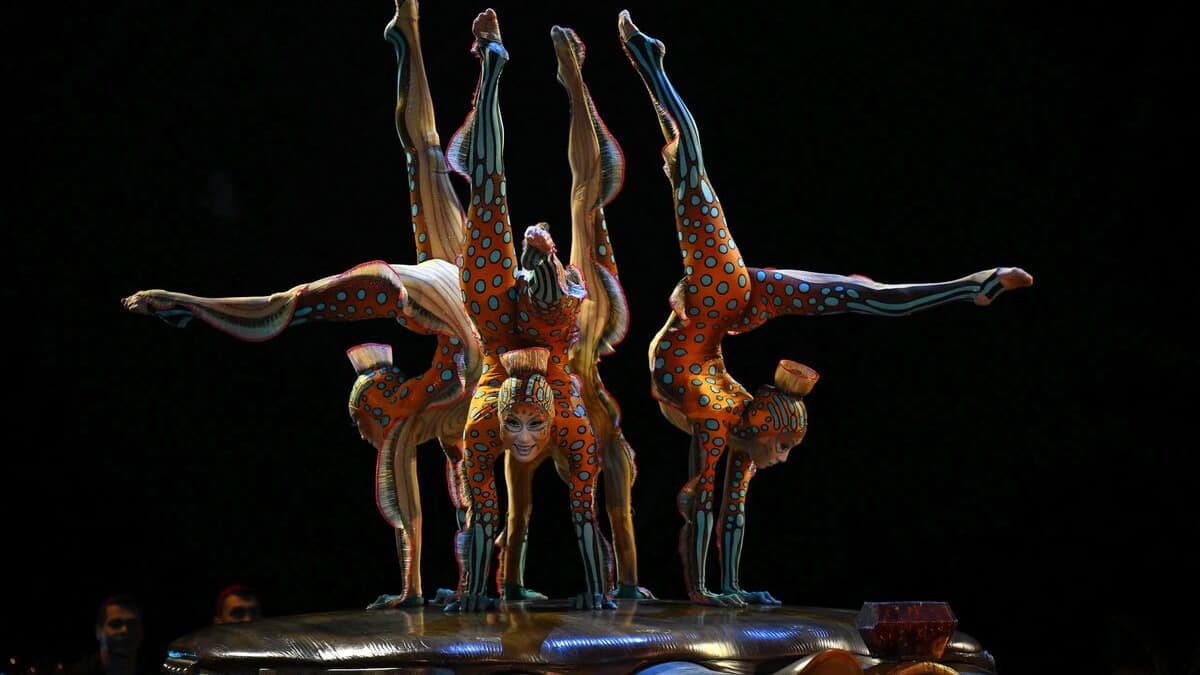 Il Cirque du Soleil annuncia un nuovo spettacolo residente alle Hawaii per la fine del 2024 Il Cirque du Soleil annuncia un nuovo spettacolo residente alle Hawaii per la fine del 2024