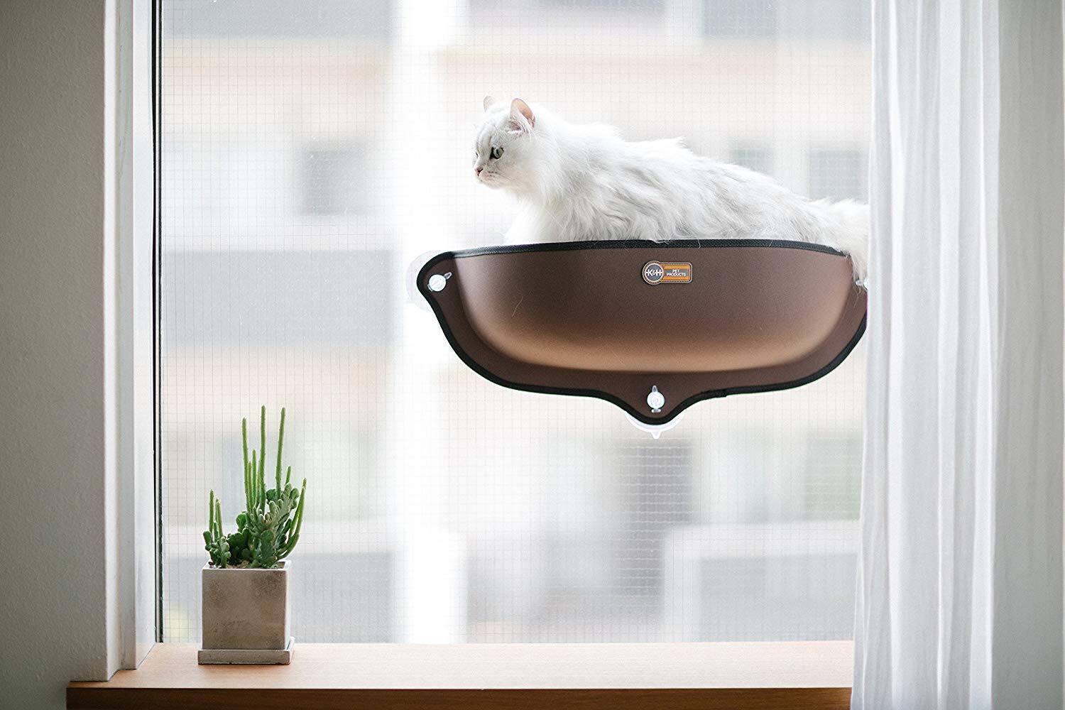 10 Idees Cadeaux Pour Vos Animaux De Compagnie Salut Bonjour