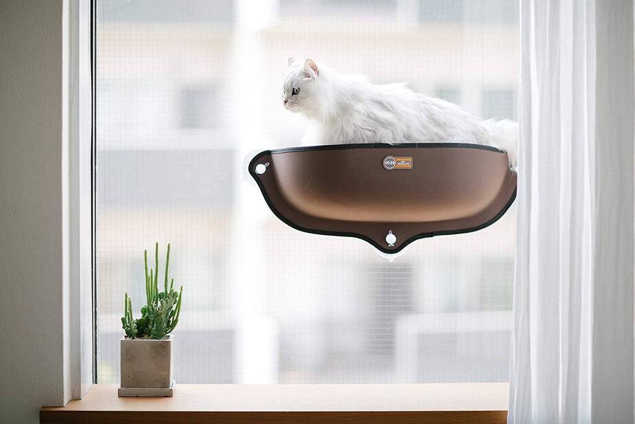 10 Idees Cadeaux Pour Vos Animaux De Compagnie Salut Bonjour 10 Idees Cadeaux Pour Vos Animaux De Compagnie Salut Bonjour