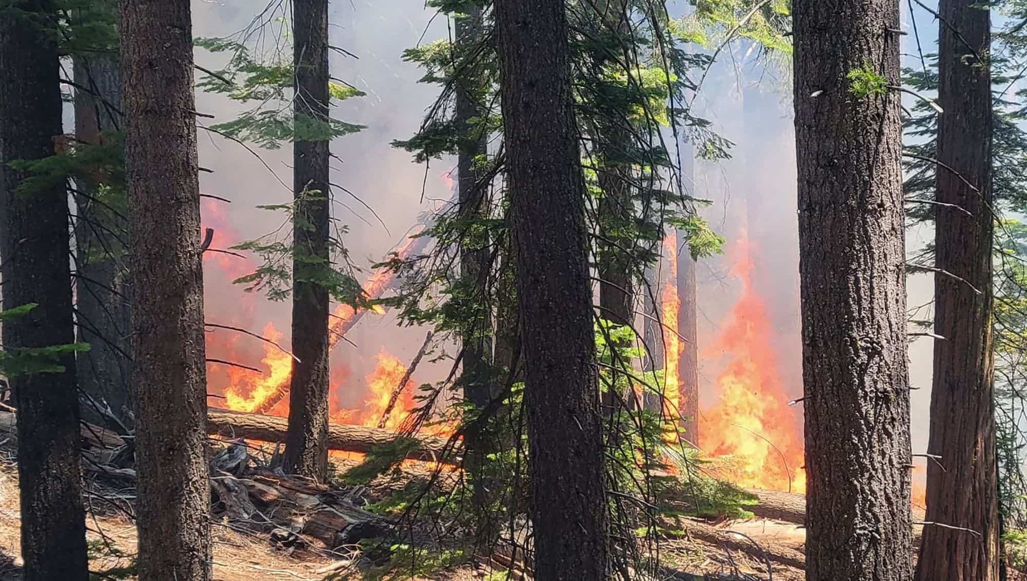 Un incendie menace les s&eacute;quoias g&eacute;ants du parc de Yosemite