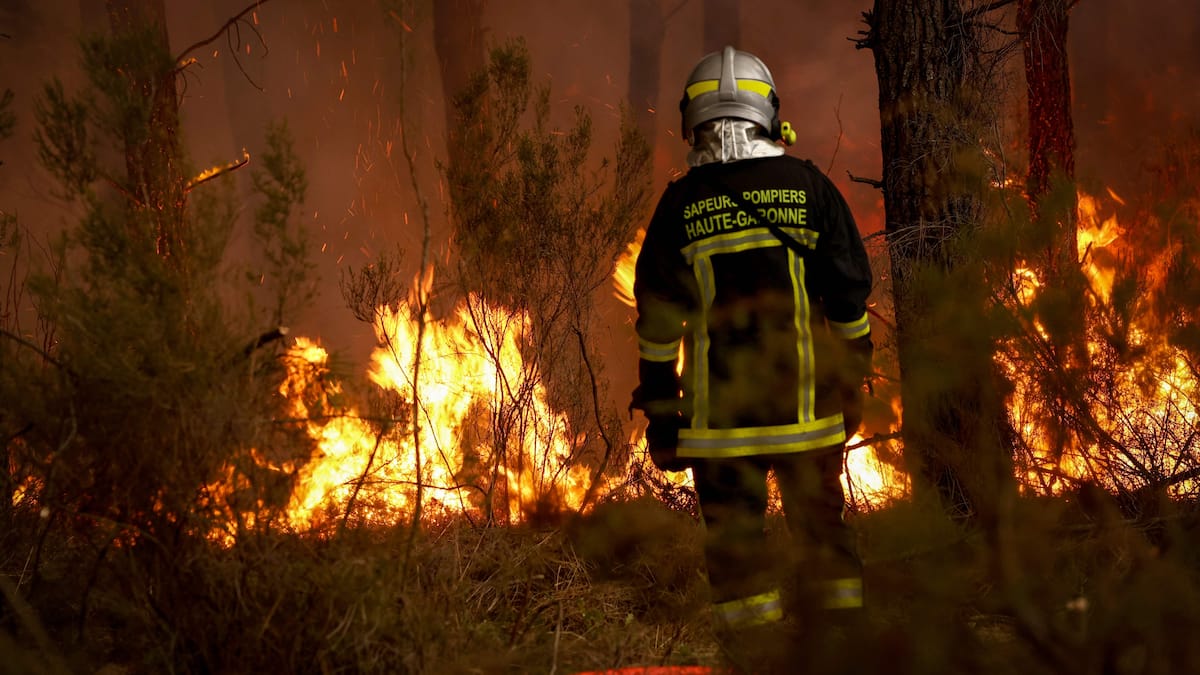 France: the megafire in Gironde “stabilized” but feared resumption, Macron expected on site France: the megafire in Gironde “stabilized” but feared resumption, Macron expected on site