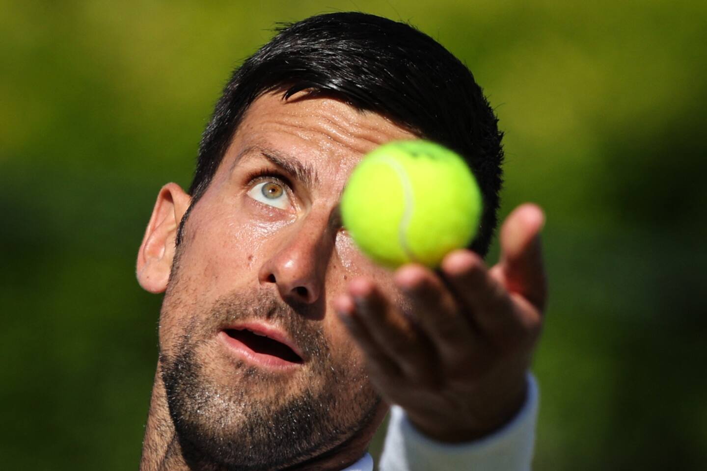 Novak Djokovic persiste et signe Novak Djokovic persiste et signe