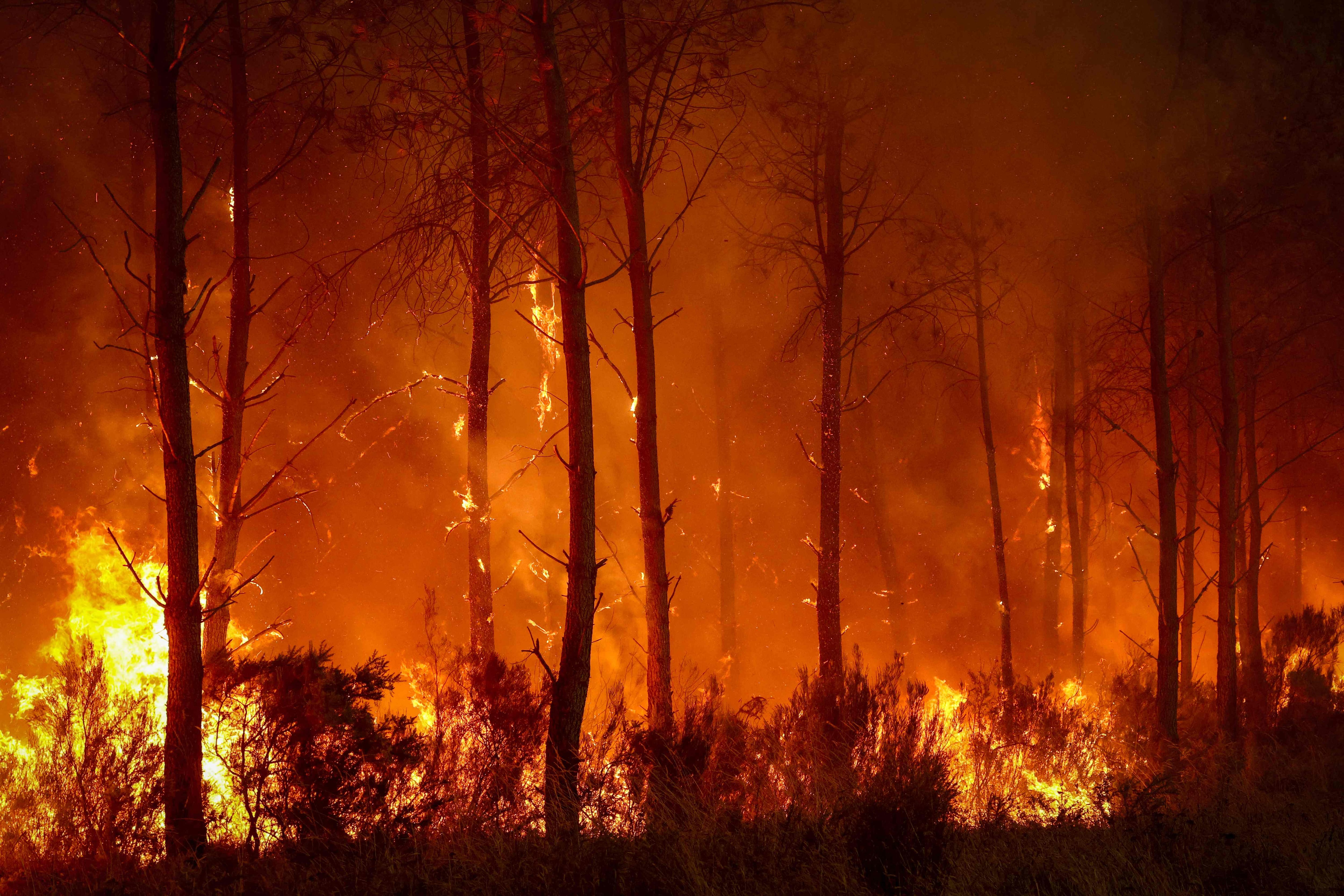 A forest fire rages in Saint-Jean-d'Illac, about 30 km from Bordeaux, on July 26, 2026, while a forest fire ravages the forest north of the Arcachon Basin (Gironde).