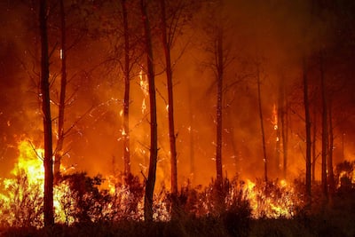A forest fire rages in Saint-Jean-d'Illac, about 30 km from Bordeaux, on July 26, 2026, while a forest fire ravages the forest north of the Arcachon Basin (Gironde).