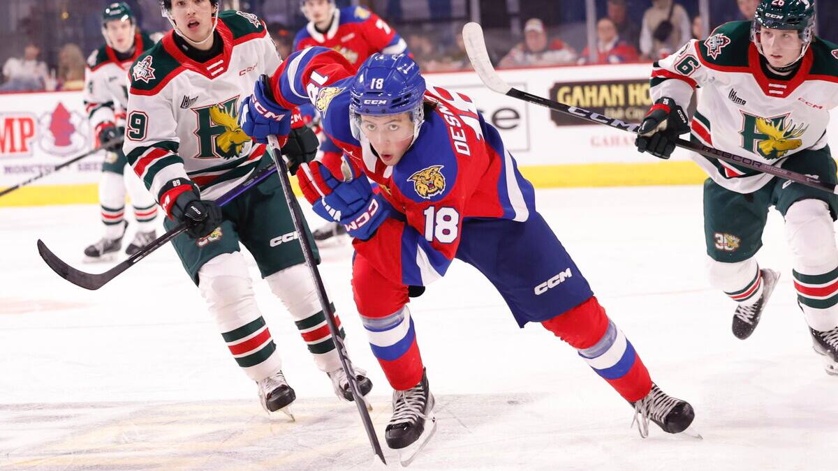 Les 20 meilleurs Québécois pour le repêchage 2025 de la LNH