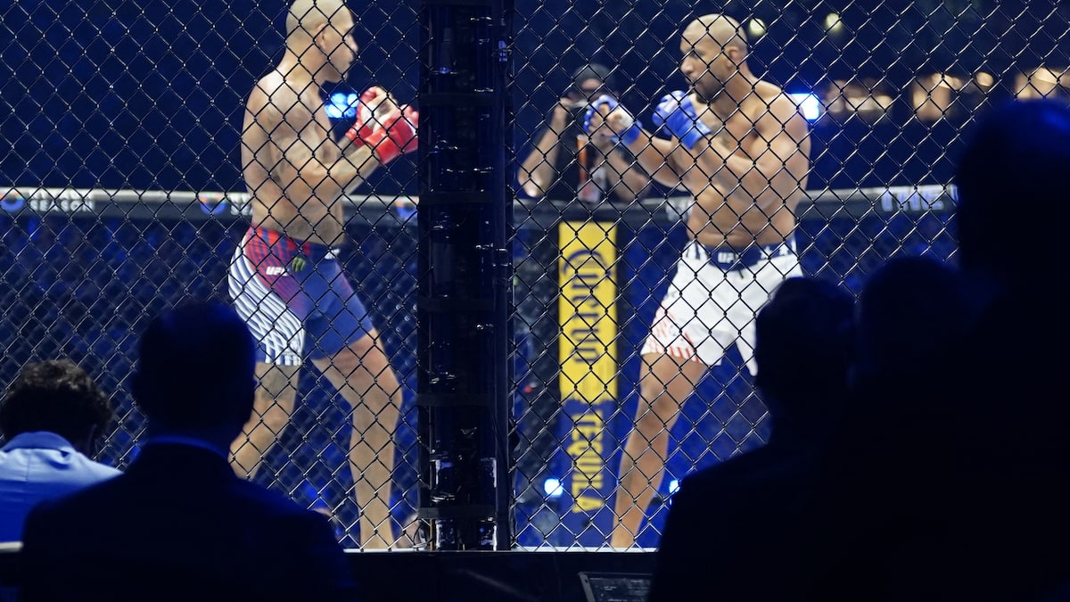 MMA at the White House: no other president will be “twisted enough” to repeat such an event, according to Ciryl Gane MMA at the White House: no other president will be “twisted enough” to repeat such an event, according to Ciryl Gane