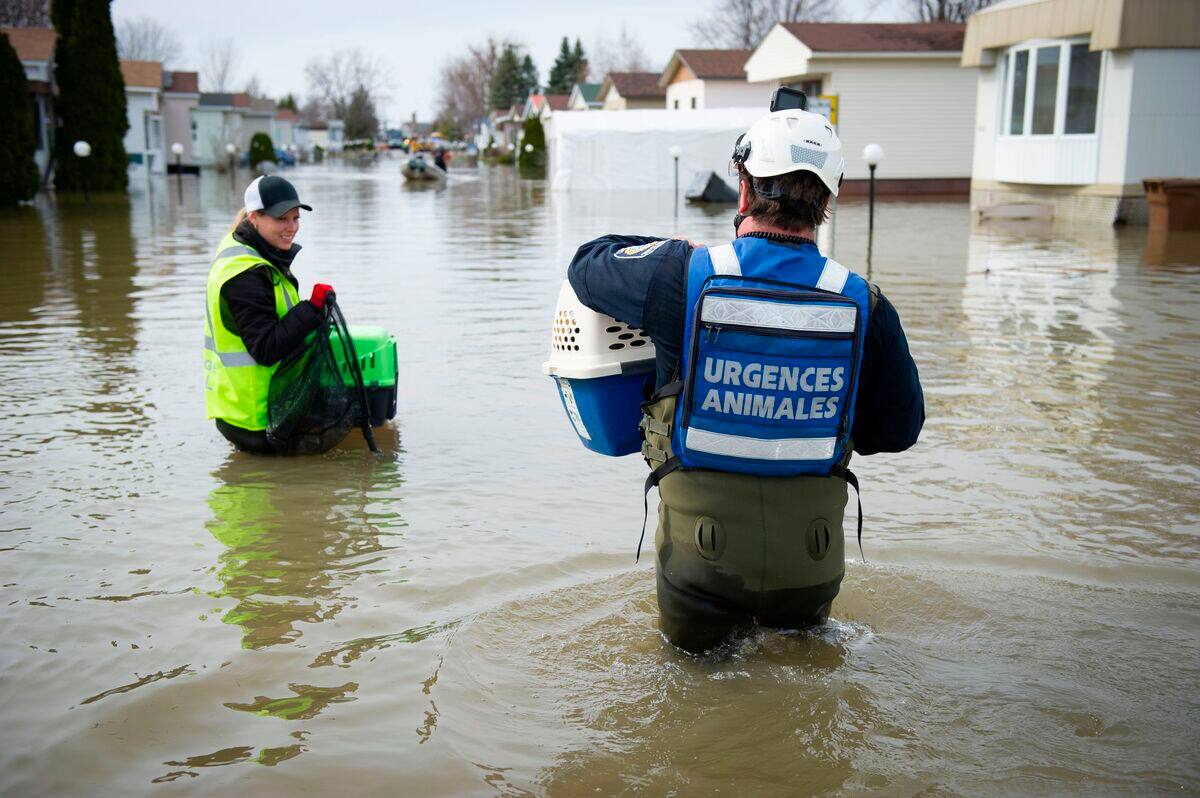 Int&eacute;grer les risques climatiques dans la gestion des finances publiques, recommande l&rsquo;IDQ