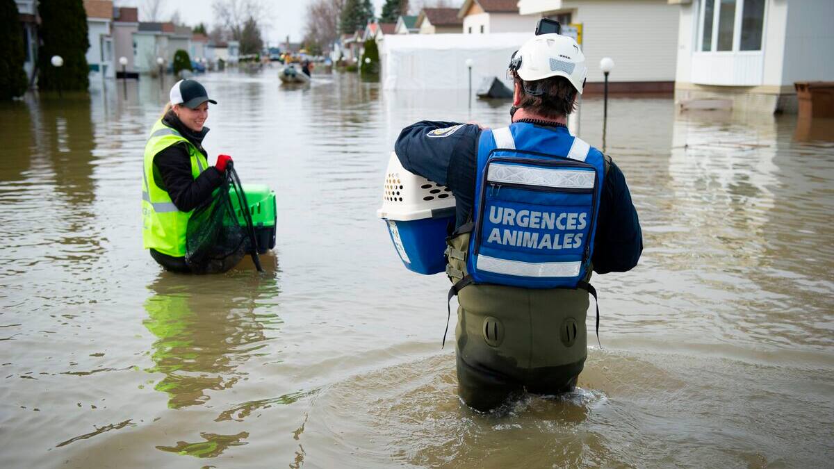 Intégrer les risques climatiques dans la gestion des finances publiques, recommande l’IDQ