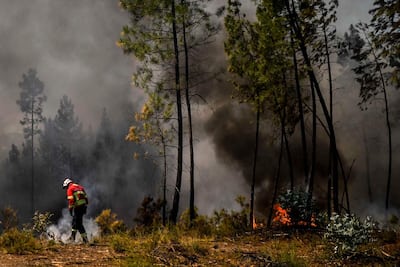 Forest fire destroys 7,000 hectares in central Portugal
