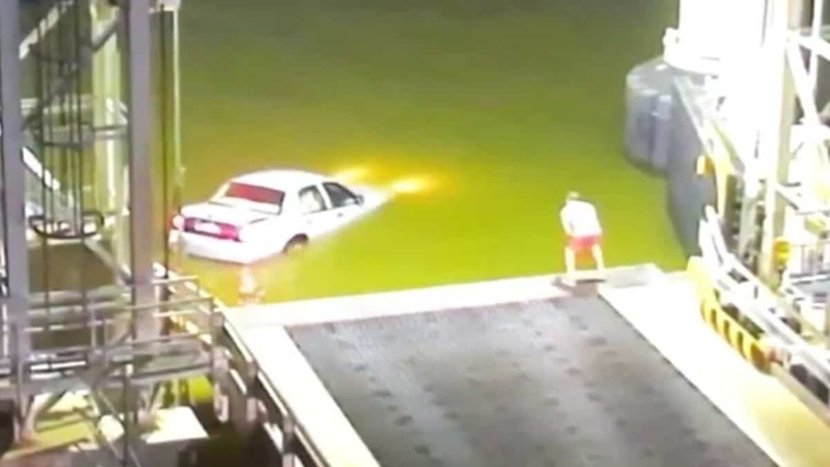 Il saute à l'eau pour sauver un inconnu de la noyade