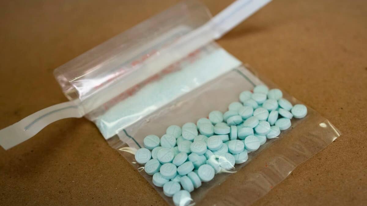The US seized enough fentanyl to kill all Americans The US seized enough fentanyl to kill all Americans