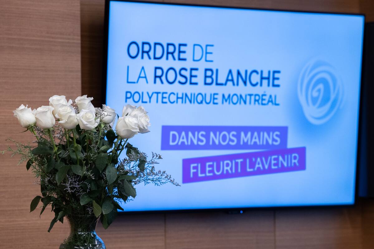 Ordre de la rose blanche une bourse attribuée en l’honneur des victimes de Polytechnique JDM