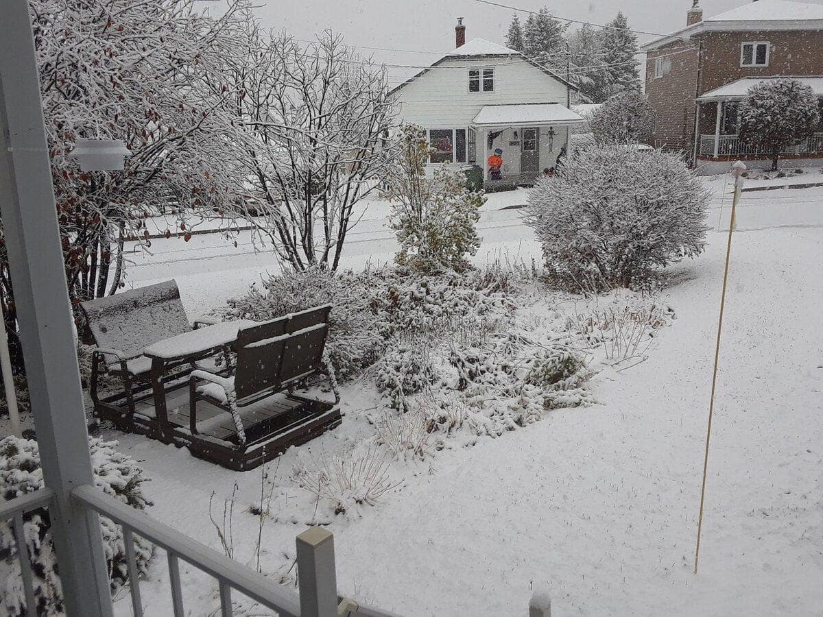 fe502b90-107f-11eb-b74a-87bcbf0d7771_ORI