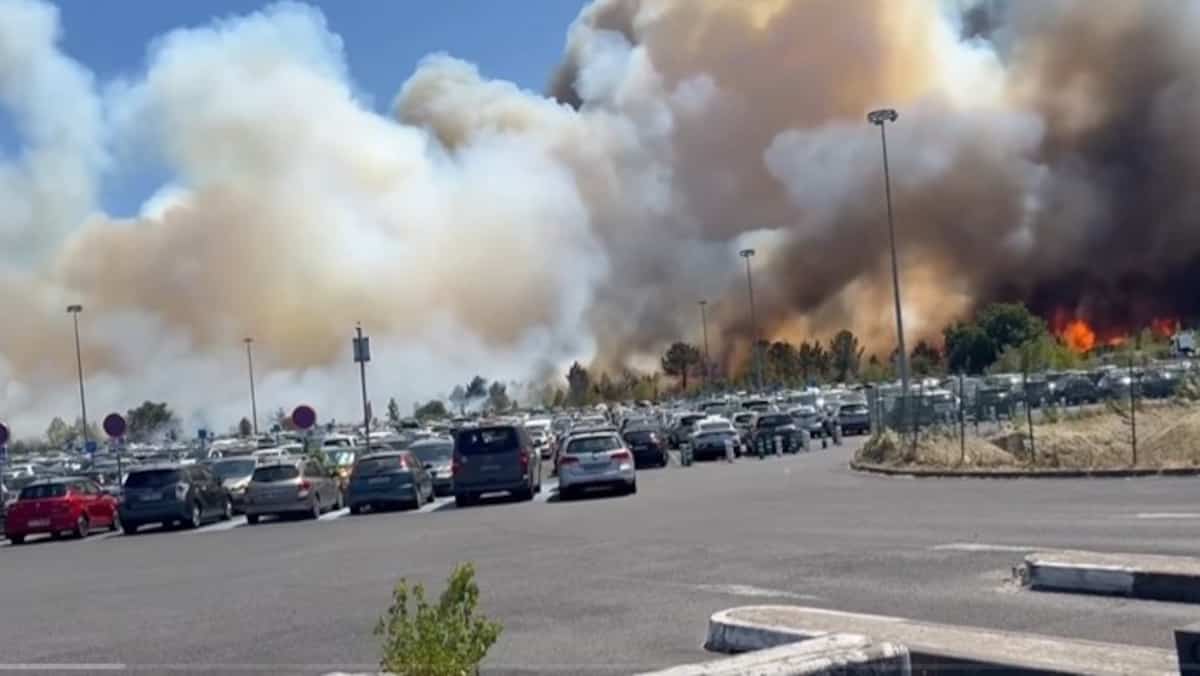 Fire in Gironde: two firefighters died in their truck “trapped by flames” Fire in Gironde: two firefighters died in their truck “trapped by flames”