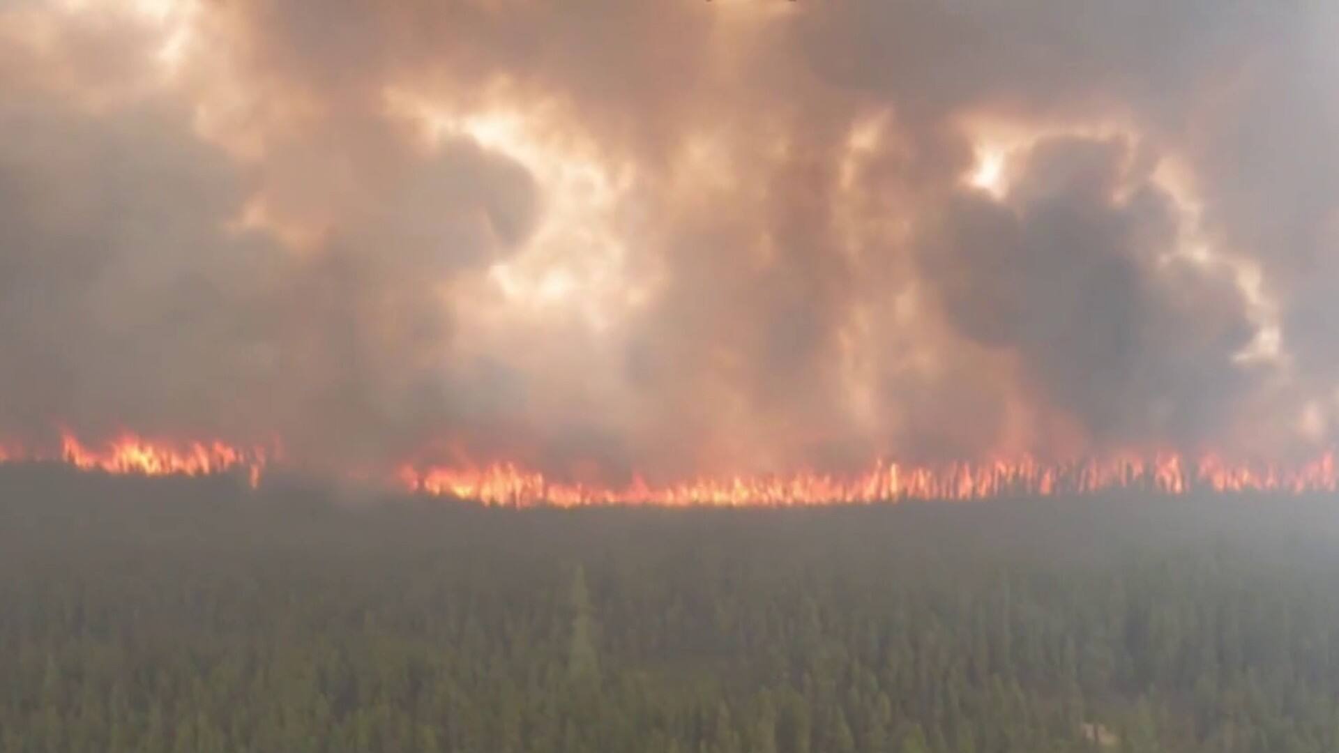 Feux de forêt historiques