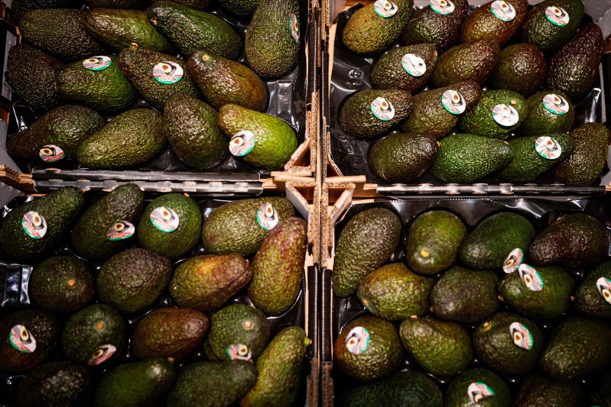 Plus de 40 tonnes d&rsquo;avocats vol&eacute;s