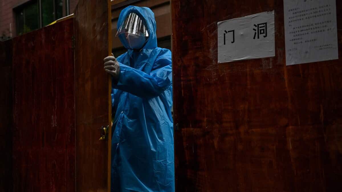 «Il faut continuer à l’étudier»: des scientifiques chinois lèvent le voile sur un nouveau coronavirus provenant des chauves-souris