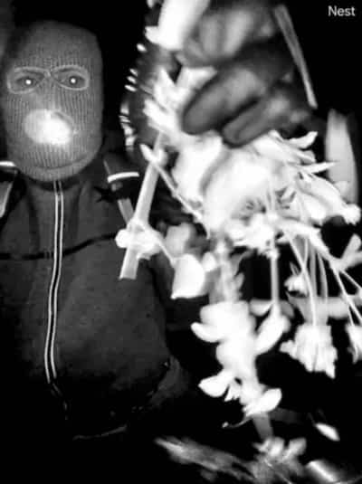 Possível suspeito do sequestro de Nancy Guthrie, segundo imagens divulgadas pelo FBI.