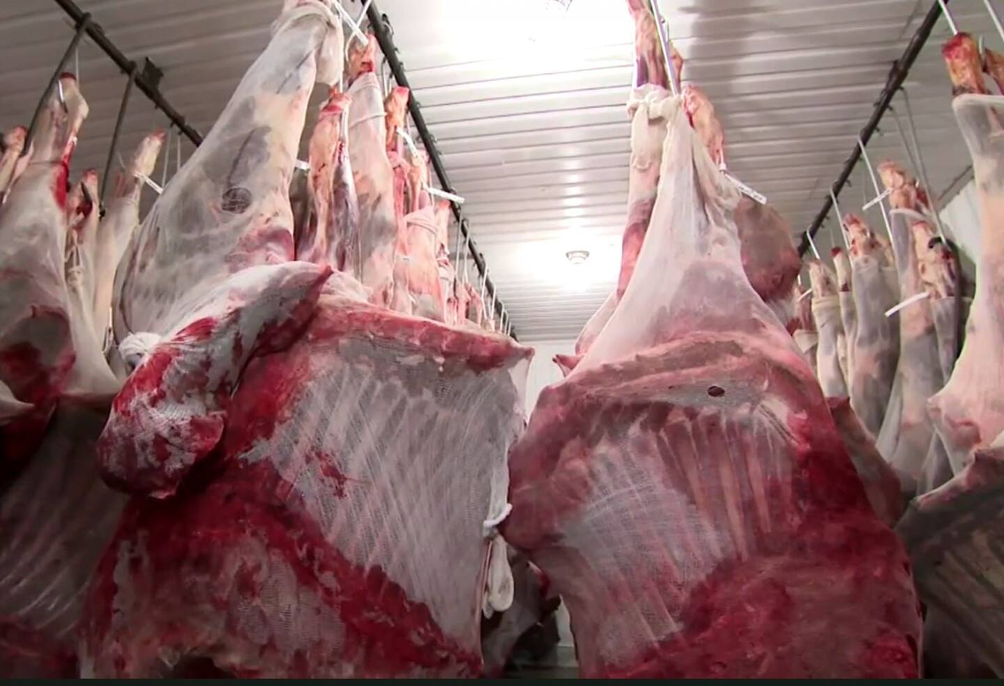 Un centre de coupe de viande au Saguenay–Lac-Saint-Jean est déjà presque complet