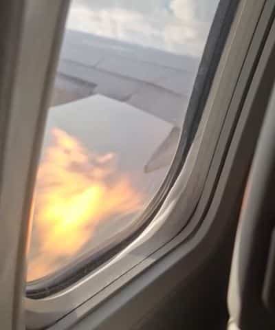 VIDÉO | Des flammes jaillissent du moteur d’un avion d’American Airlines après une collision avec des oiseaux