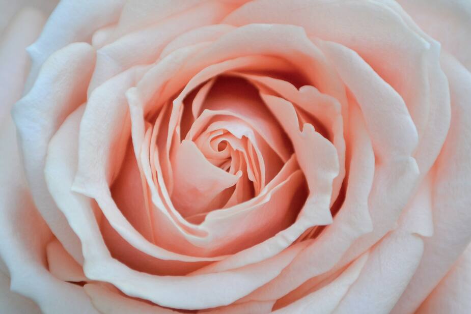 Image principale de l'article 5 gestes pour prendre soin de sa flore vaginale