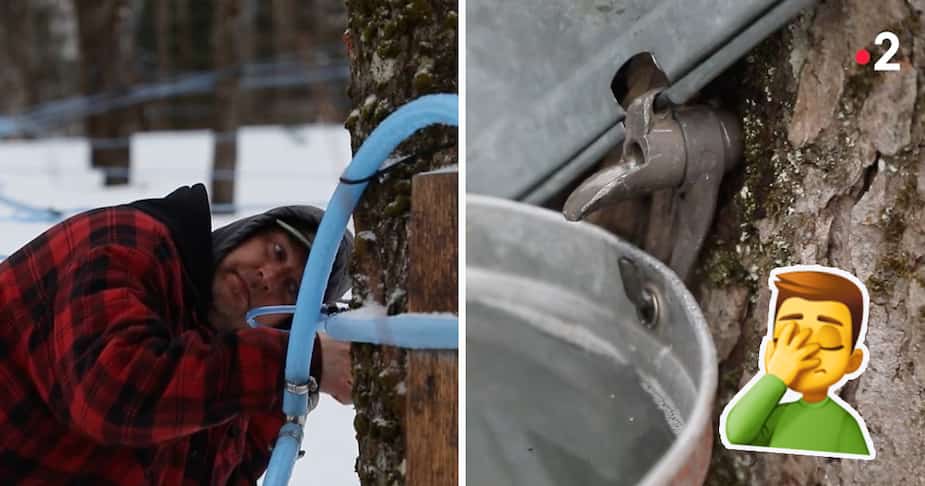 Image principale de l'article Le sirop d’érable, «poumon économique du Québec»?