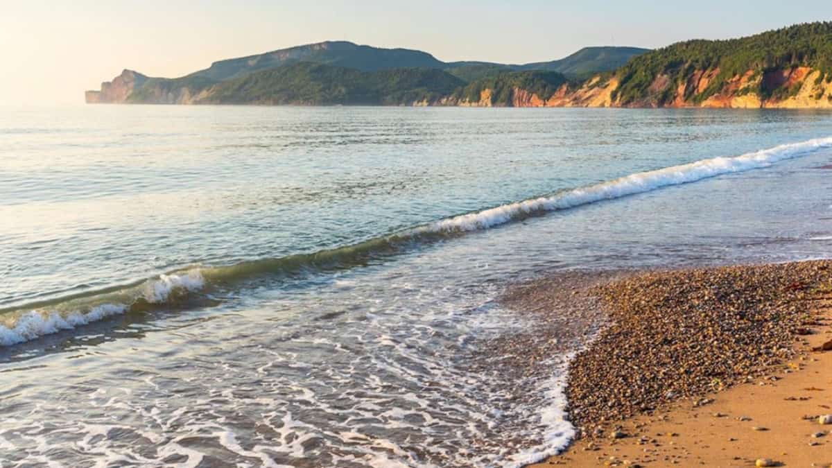 Get 7 Plages Magnifiques Ou Passer Ses Vacances En Gaspesie Salut HD Get Wallpaper 7 Plages Magnifiques Ou Passer Ses Vacances En Gaspesie Salut For Free