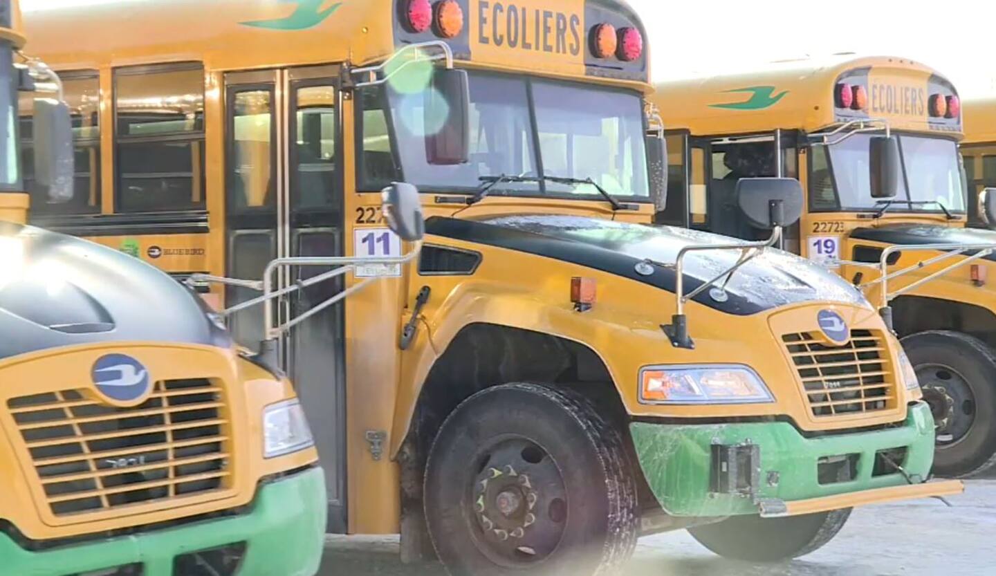 Manicouagan: une pénurie de chauffeurs d’autobus scolaire pourrait compliquer la vie des parents Manicouagan: une pénurie de chauffeurs d’autobus scolaire pourrait compliquer la vie des parents