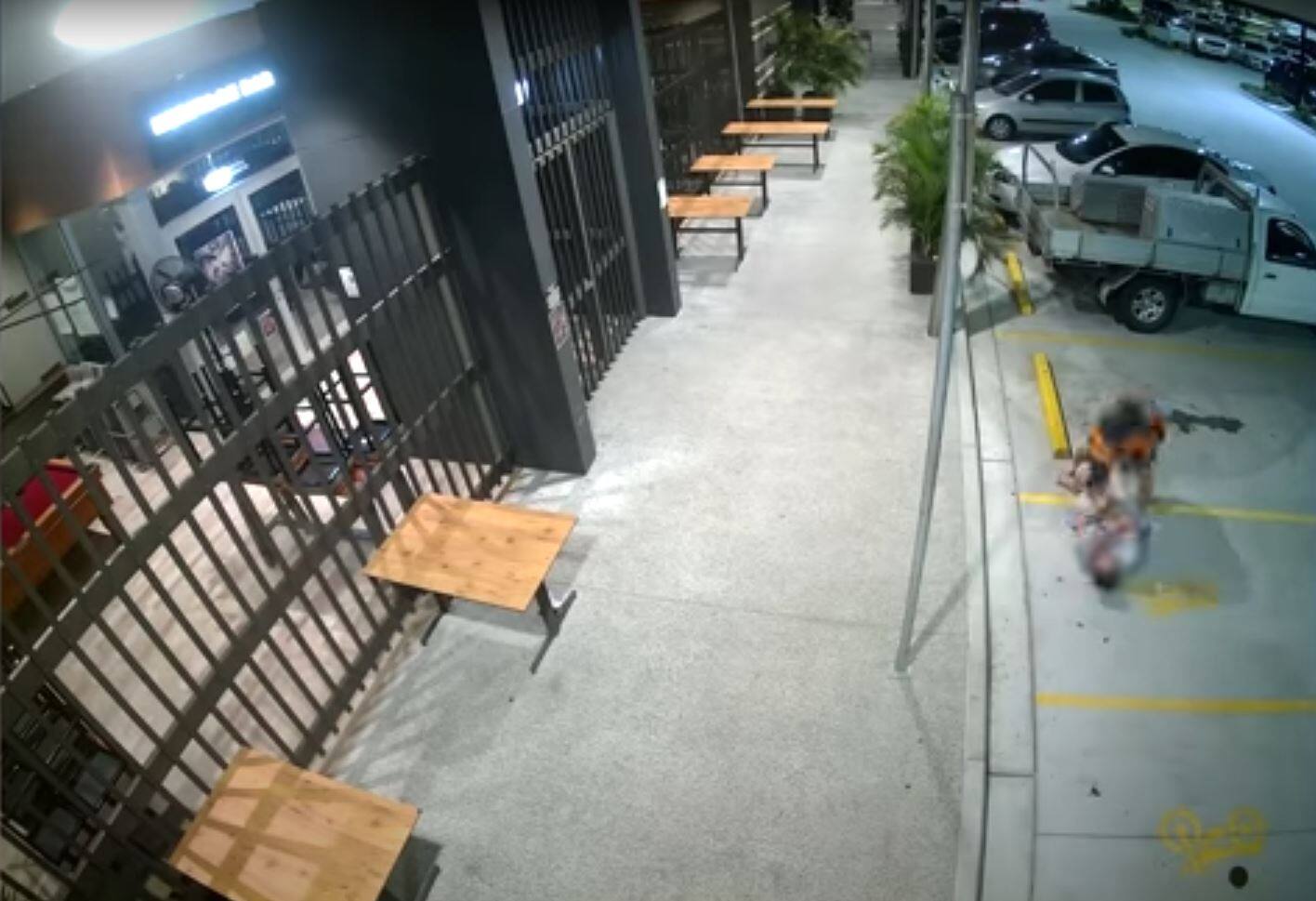 Une dame âgée jette un voleur de sacoche par terre