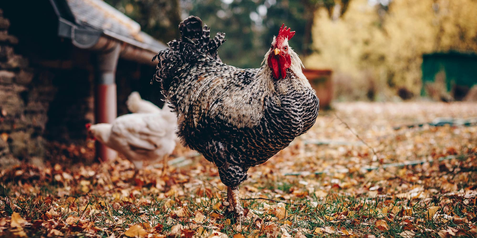 Diane Lamarre revient sur la situation sanitaire